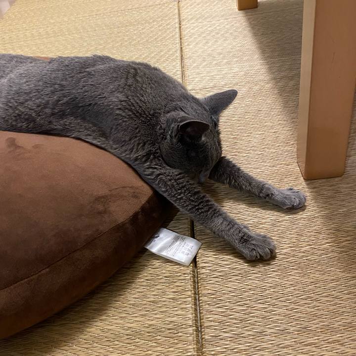 Bd0b64cc 6ee9 4fc4 a3e2 581e99b33cc7 1594434759031