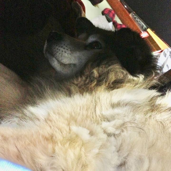 Bd0b6ce7 38b8 4e99 84fb f7d74c36e62c 1654666630812