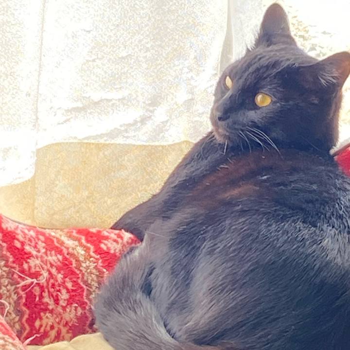 Bd0b7b7d 37e1 4c00 a7e8 a33701646cac 1771729129764