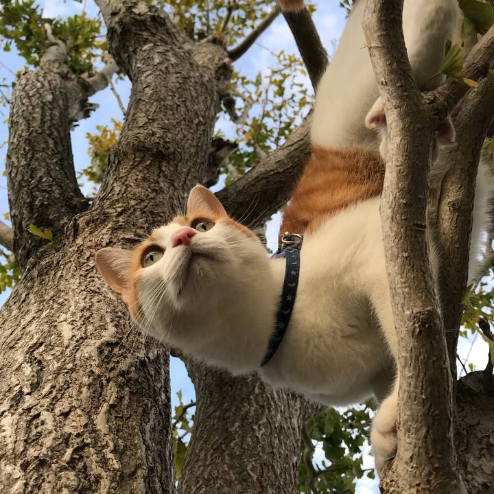 Bd0ba640 662b 477e 9f67 f5929f25ded9 1509605509524