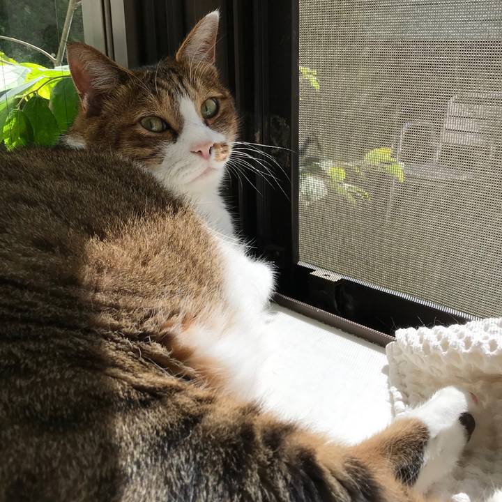 Bd0c01e8 929f 4fc9 8d4b 08abe3a6d525 1570588488743