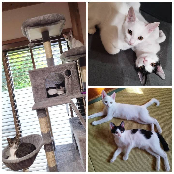 Bd0c061b 911b 4f2c acb7 a296a95f2e5b 1763263276196