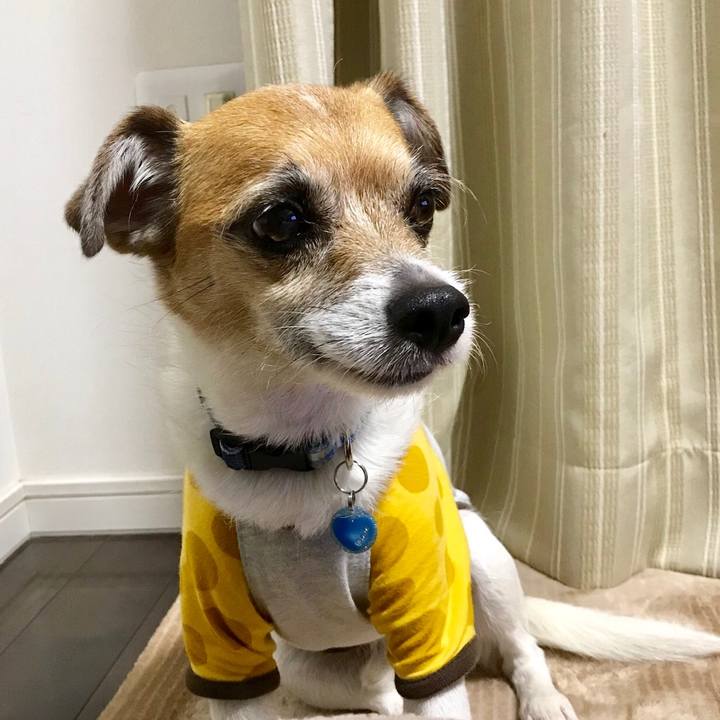 Bd0c3f57 7215 4a26 b73e c4c4329e9ad3 1557752408602