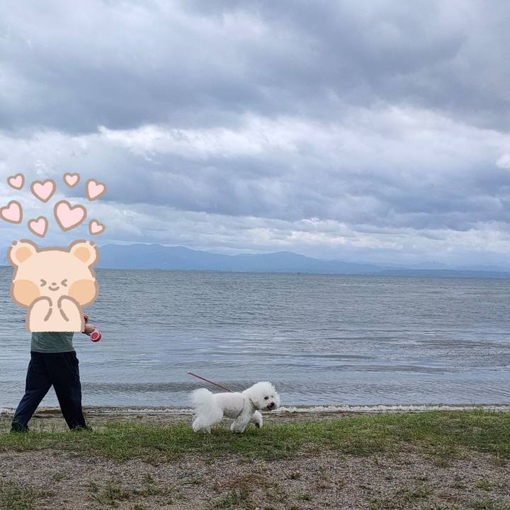 Bd0cb1e2 963f 4c8c ba58 34128a0c0c39 1759147125722