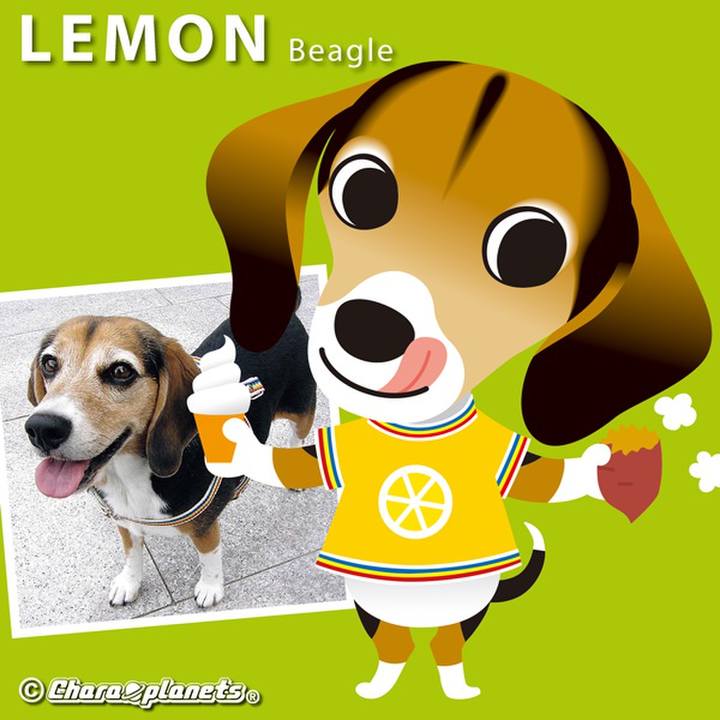 Bd0d04ff 54a2 4072 b054 ca2ffaf834ce 1562027417599