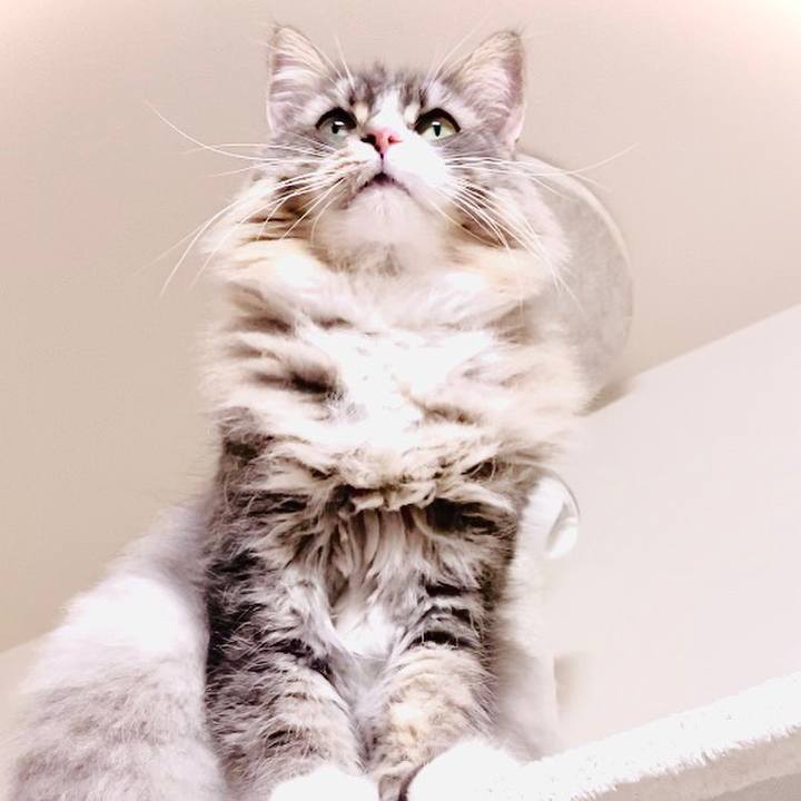 Bd0d1401 59f3 4244 b374 52b3e992ac48 1589046353413