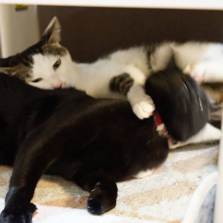 Bd0d373b 00f8 494a 9f07 57d8e94129e1 1548772268900