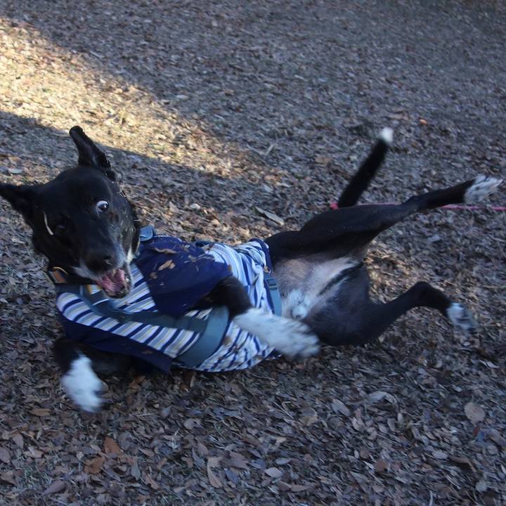 Bd0d69c9 ec34 4e1d aa41 dccd8e933500 1705367622075