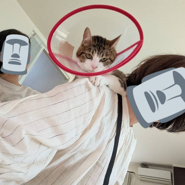 Bd0d78fc 3e7f 4b06 b3fc 10541c4860f1 1746590216324