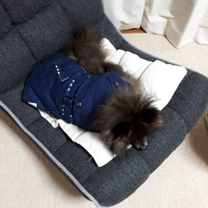 Bd0d8932 1311 4e6b ae43 31e88c0e88c8 1518630668503