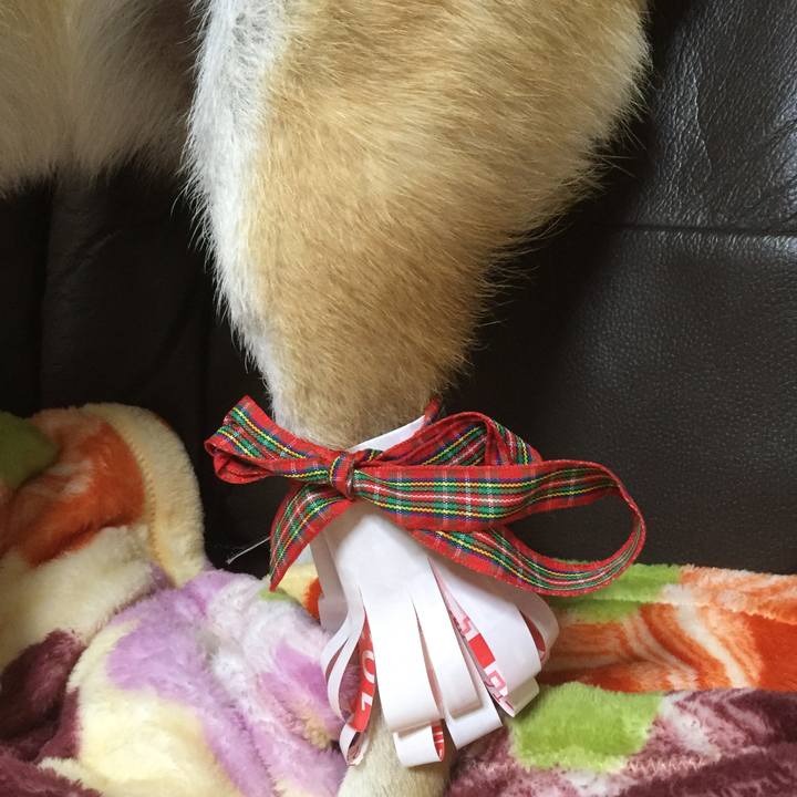 Bd0d8a9b 63a7 414a 961f 08a890adb94c 1514278164715