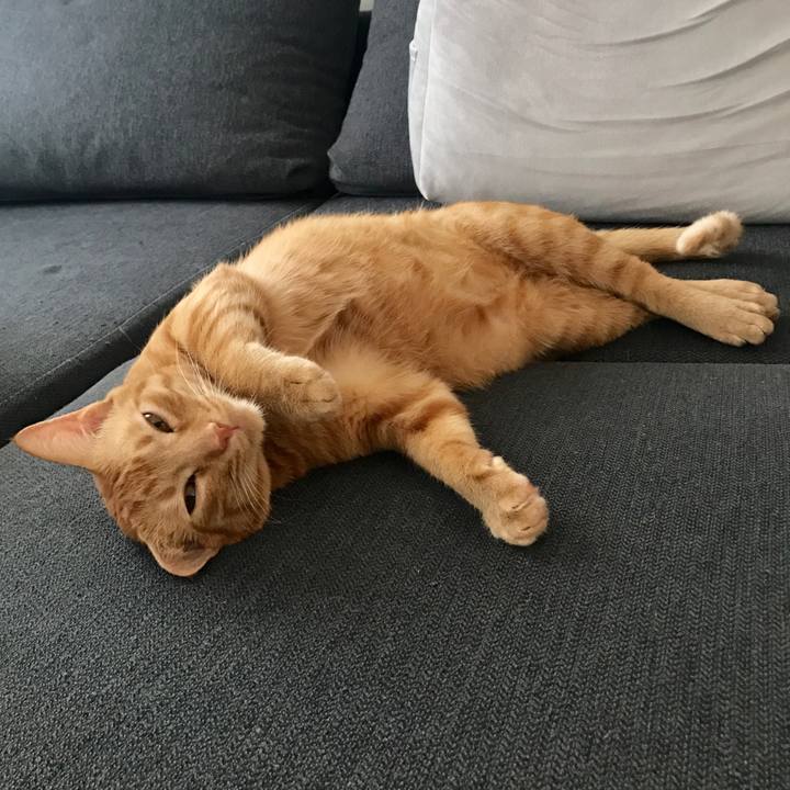 Bd0d8eef 8100 4f87 877b 2a3c615b1e8f 1592613528440