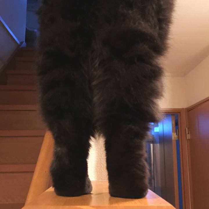 Bd0dd204 3706 44ba baf8 5784ccd77169 1547711537378