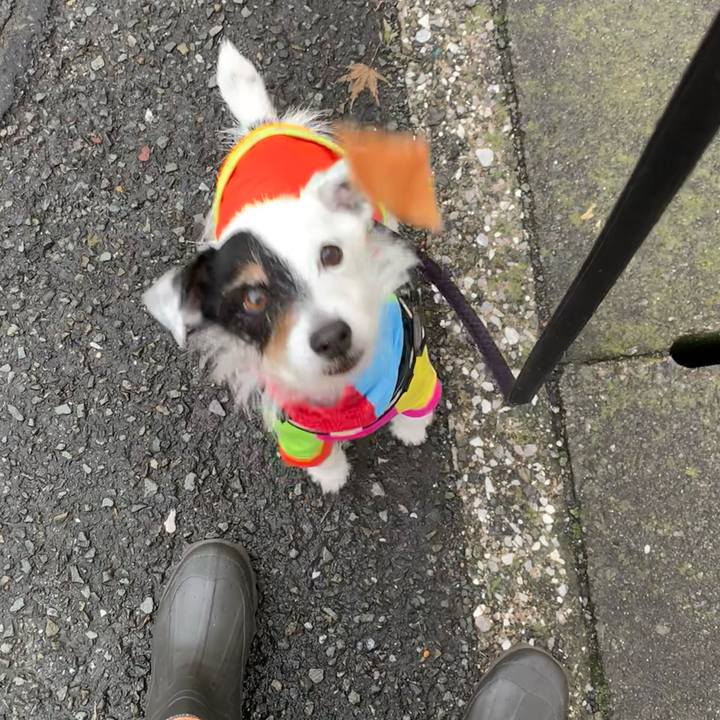 Bd0dd964 2139 44b9 a721 88dcc9ca7766 1717118497596