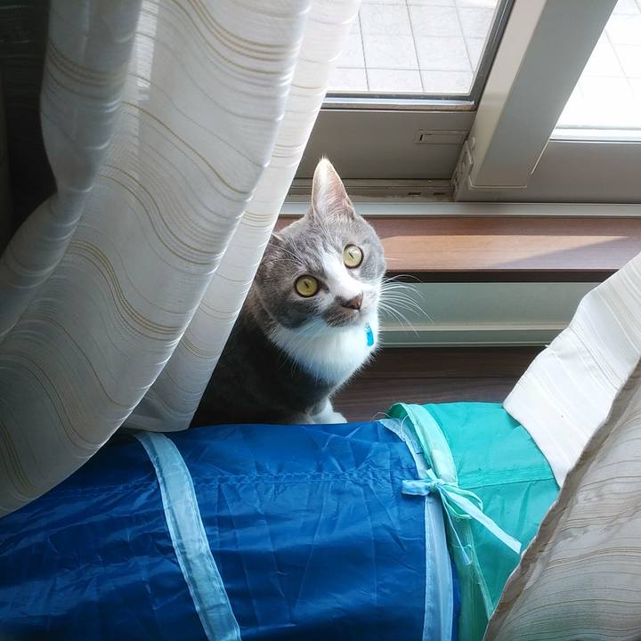 Bd0df89e 2ec9 4890 adc8 3ba510164ca0 1587457469378