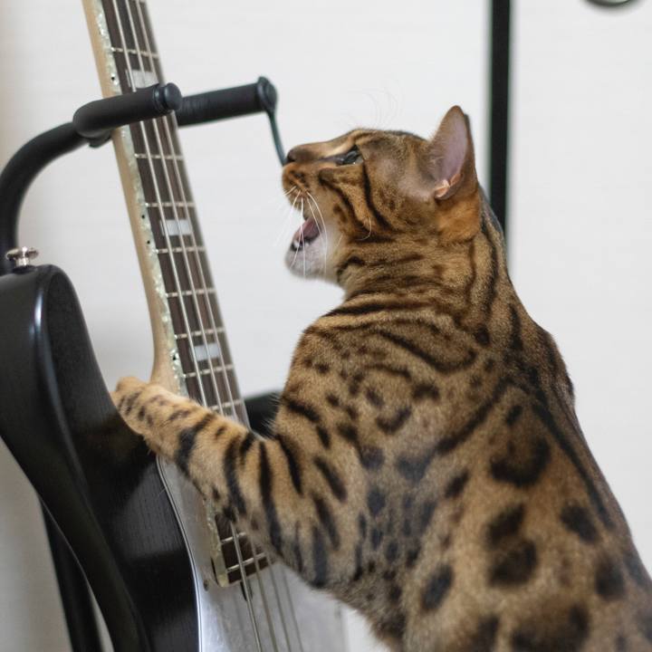 Bd0e04ef eeb7 4c9e 888b 80738aec05aa 1524842868964