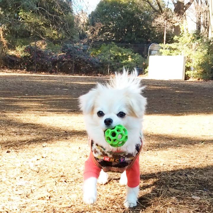 Bd0e0ee1 2b97 4f9b bce0 197be0097e3c 1699806392226