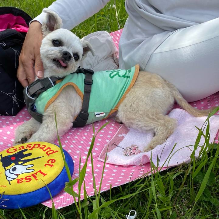 Bd0e55d0 d85b 491c b887 4dd537f4d337 1620648880991