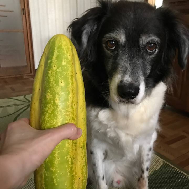 Bd0e6c28 ab7a 4792 b4b5 616f69ed77e4 1533085914964