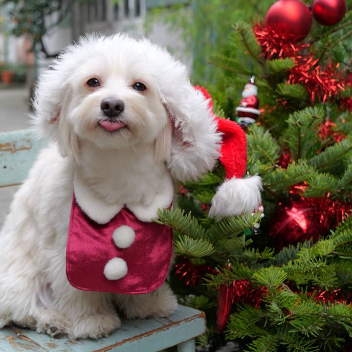 Bd0e8365 443d 424a ac0c 2063137e2556 1766697718458