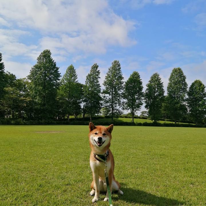 Bd0e8a82 c870 4cf9 9fd4 4db989356848 1624490997473