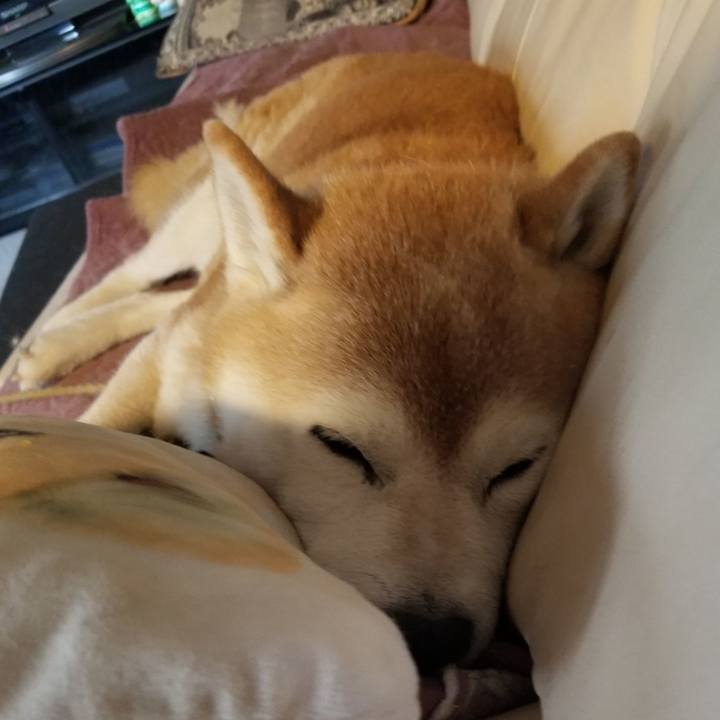 Bd0ed1d7 f95c 41e7 902e 284637e7a767 1696983919881