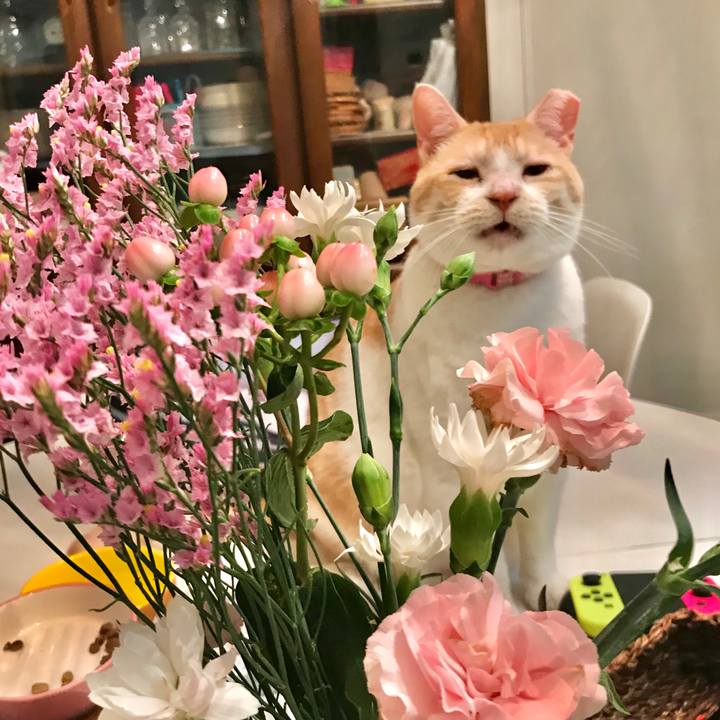 Bd0f1e52 0a14 4454 96de 500fa840fda5 1591697267967