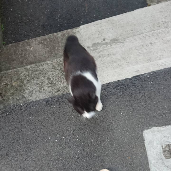 Bd0f7584 c4cc 45dc 881e 0fcada54c999 1685181009221