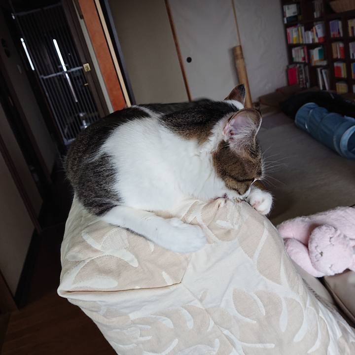 Bd0f82de 47ba 4fce 8604 59cfb3f50019 1621386330596