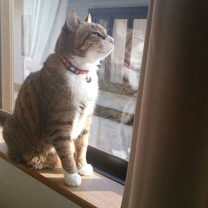 Bd0f883c dc60 4b41 bfab d895dcc52391 1529678239723