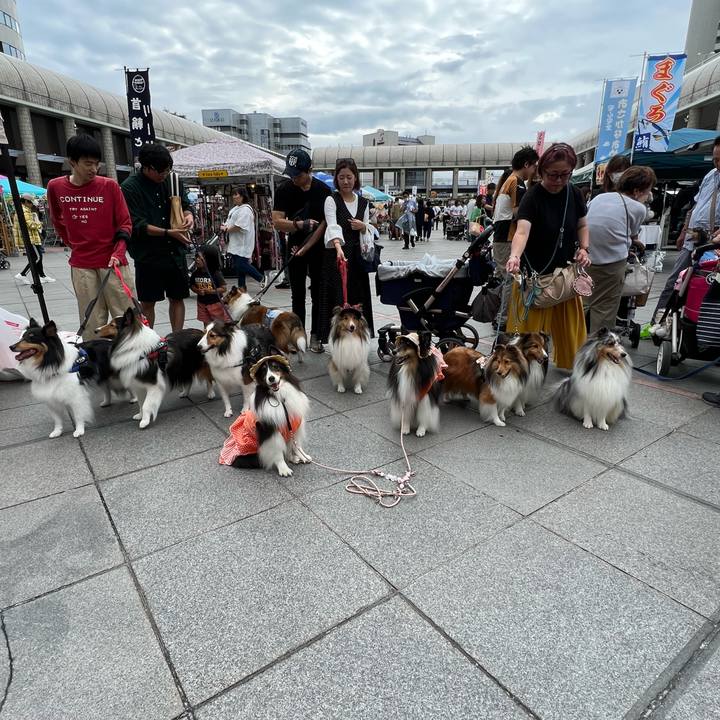 Bd0f8b52 340a 4c31 85aa ecc8e925f2a6 1696179518488