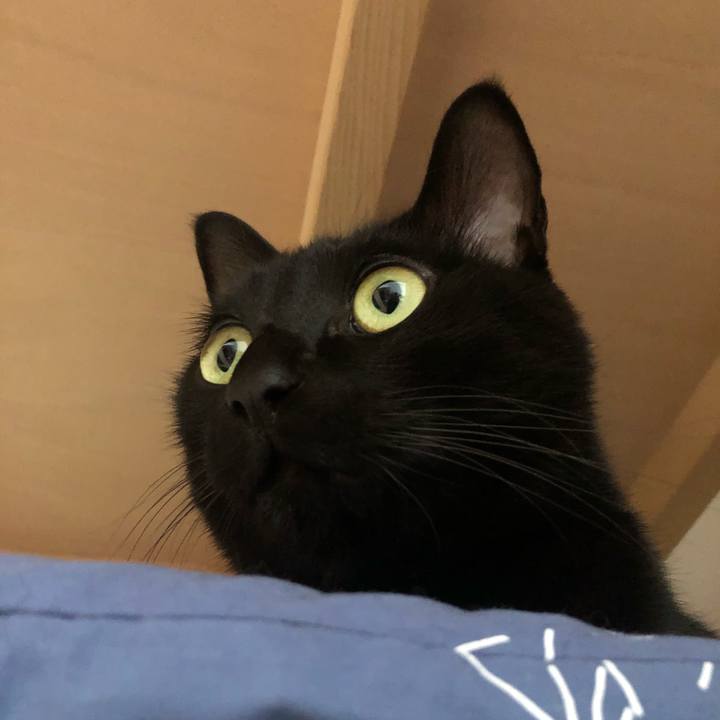 Bd0fa568 1697 4a98 8882 7e43bf7c8806 1581639568512