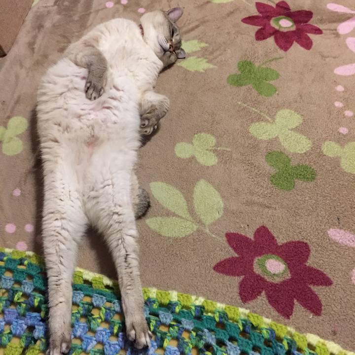 Bd0fc97e b620 46a0 adaa 0bc031b0f7a9 1556571461964