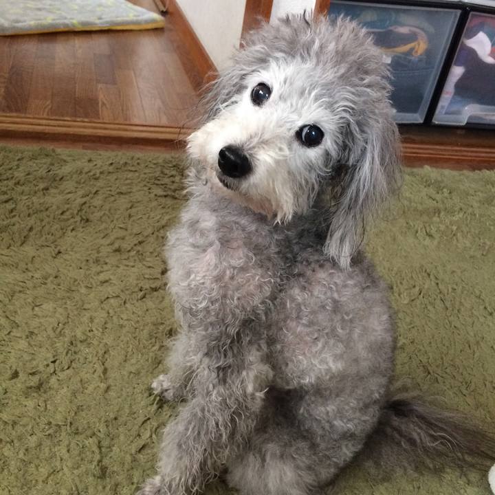 Bd0fd1c6 1c30 482e 9d00 1be69a215f40 1518309200337