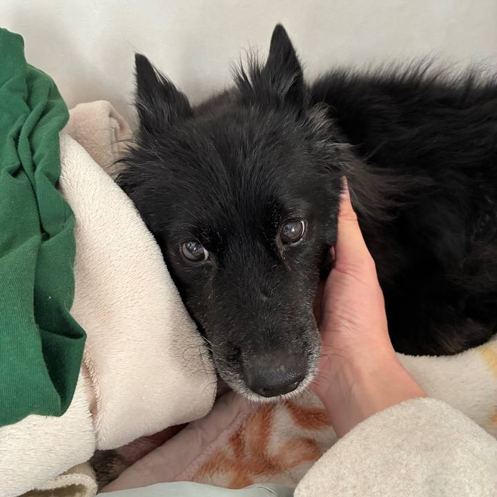 Bd1011c2 135d 4152 afc3 42a8d90e63ae 1767571020237