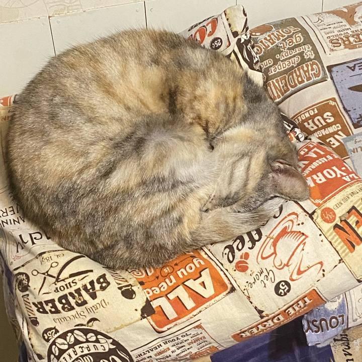 Bd101b67 4a25 49c7 850b 4b6a0add3ba3 1644958077906