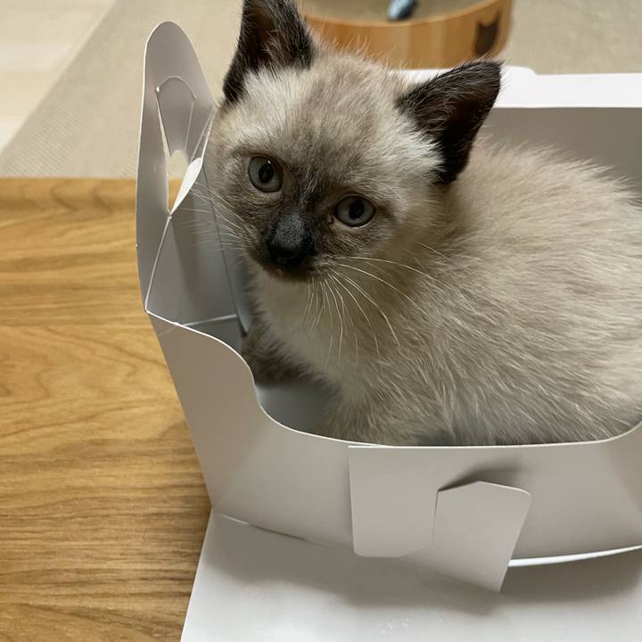 Bd10390e aa3a 49c5 a2dc be5a8c5e95f3 1686393823553