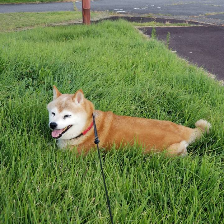 Bd103ccf 02f1 4ea9 8944 32a2f5c630c8 1723366603817