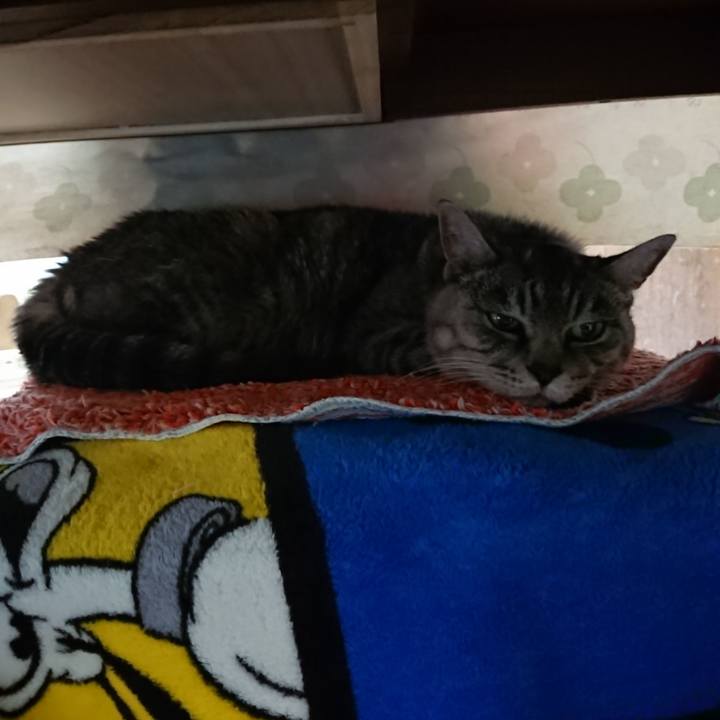 Bd105176 226f 49ae a91d 2fac0a88ee03 1573554705082