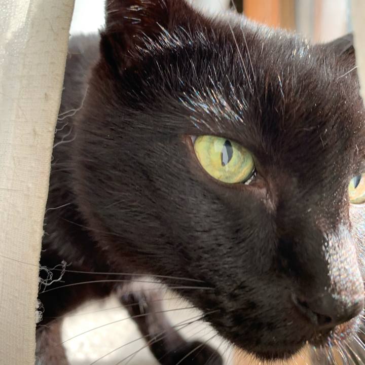 Bd106908 b7cc 439e be5b 171c84d3c85e 1575681760905