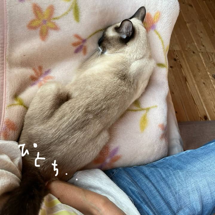 Bd107970 0ff7 4dee 83cb 268c67b964cd 1731562224175