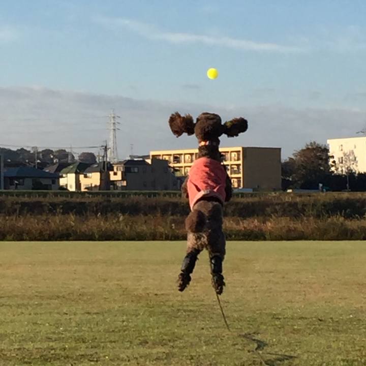 Bd108ebb 0abb 47dd 9b63 6e58c6415eb5 1542378970276