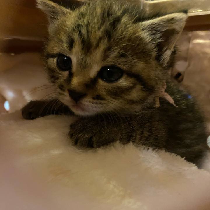 Bd110393 69c7 48be 9c83 54d6849f5f07 1636622928063