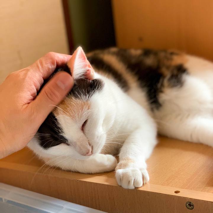 Bd11149d f900 46cf af64 7dcd0fdcca94 1566698559479