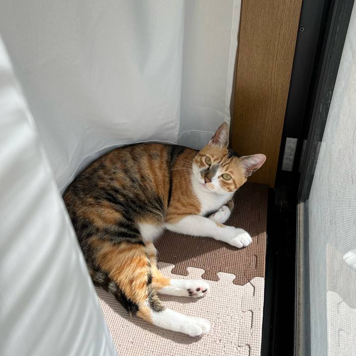 Bd11161e ab8b 4ef6 afba b6536ccbfbdd 1713571897107