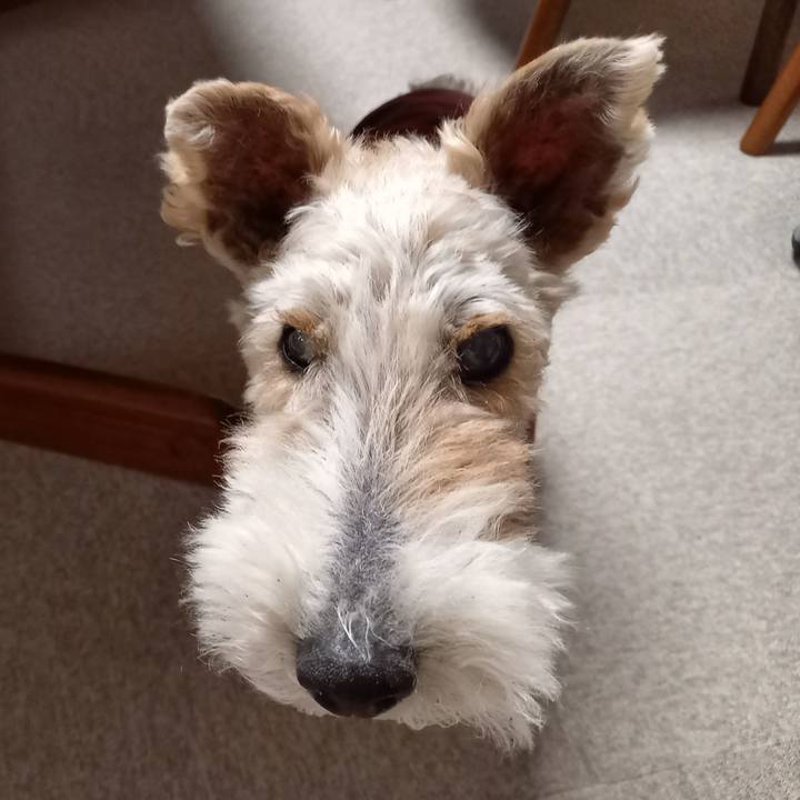 Bd111bd6 d252 47ed 8dfe e7d4b027452e 1648822243220