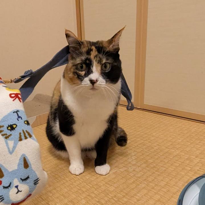 Bd117aea fbde 4b64 9f8c 595b7feda702 1765534069174