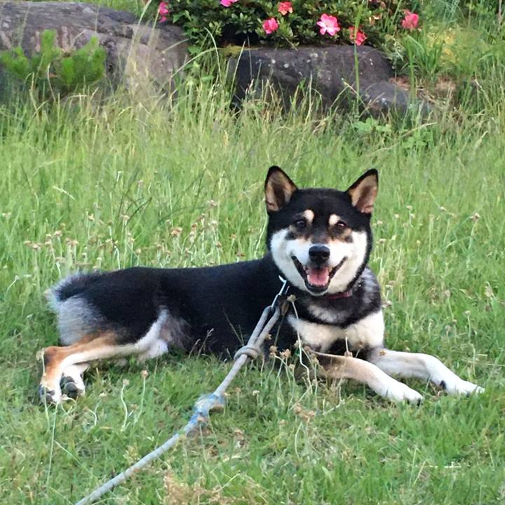 Bd119072 9f93 4d72 a1a2 9a83e9c79566 1591327393820