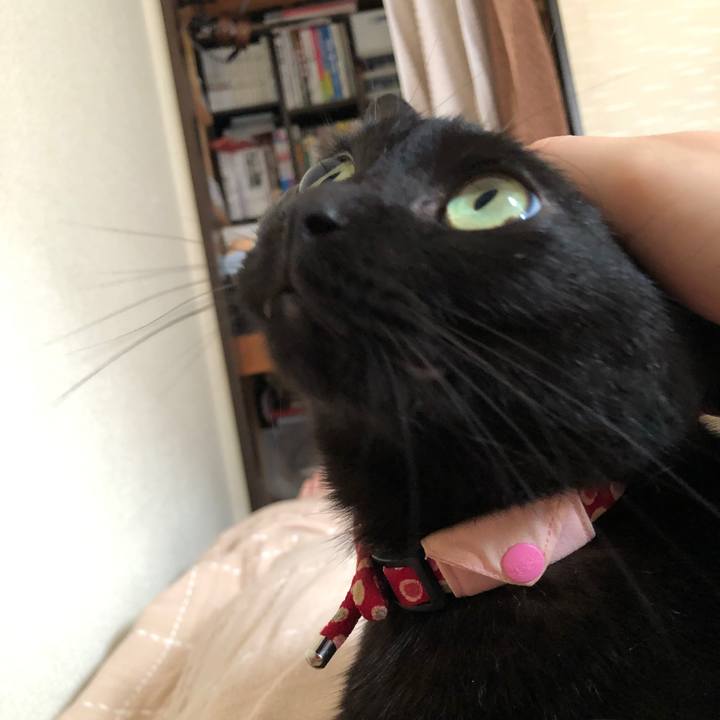 Bd119564 d2b4 404a b5e3 e384a1e132ac 1625782430566