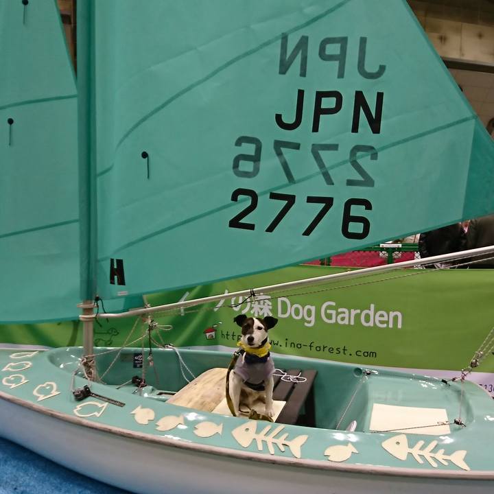 Bd11a8c3 33fe 41b2 8794 a65abf61813a 1522569993629